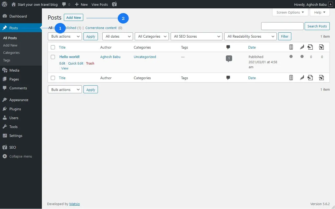 WordPress Posts menu with the Add New button highlighted